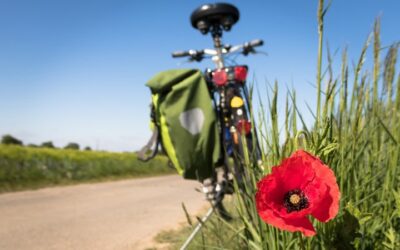 8 Fitness Opportunities at Cap d’Agde